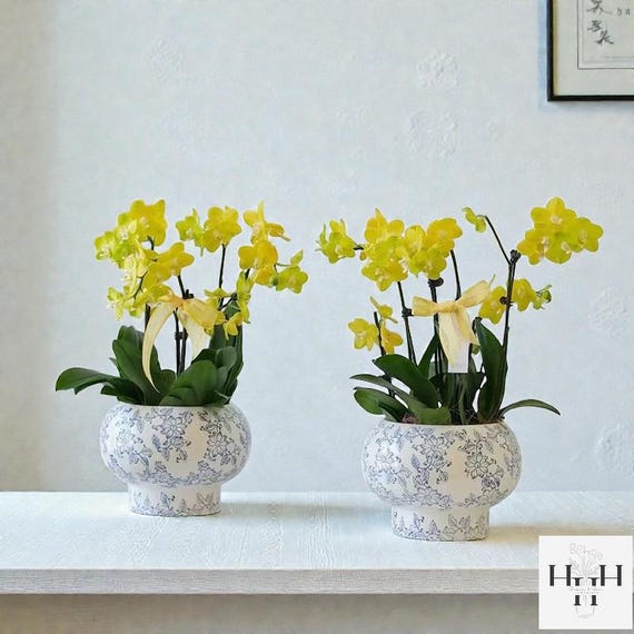 Blue, White Ceramic Planters | Leaf, Floral, Double Happiness Pots | Indoor Plant Pot | Home Decor