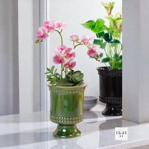 Puede incluir: Una maceta de cerámica verde con base de pedestal, llena de una planta de orquídeas rosa. La maceta tiene un diseño decorativo de cuentas alrededor de la parte superior e inferior. Una maceta negra con plantas verdes está en el fondo.