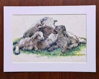 Baby Lamb Family Art – Matted Illustration, Sweet Nursery Wall Art – Ready to Frame