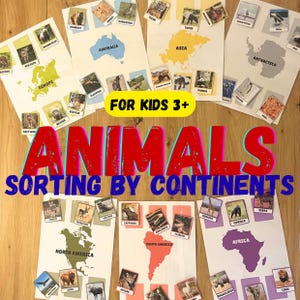 May include: A colourful animal sorting game for children. The game includes cards with animal pictures and continent maps. The text "ANIMALS SORTING BY CONTINENTS" and "FOR KIDS 3+" is visible. The game is designed to educate children about animals and their habitats.