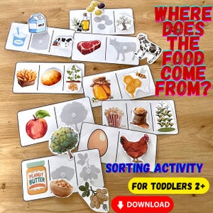 May include: Educational sorting activity for toddlers featuring illustrated cards with food items like milk, steak, and peanuts. The cards are designed to teach children where their food comes from. The text "WHERE DOES THE FOOD COME FROM?" is displayed.