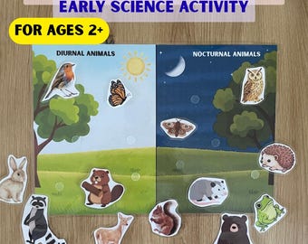 May include: An educational science activity board titled NOCTURNAL OR DIURNAL? EARLY SCIENCE ACTIVITY FOR AGES 2+. The board is split into a daytime scene with a sun and a nighttime scene with a moon, featuring various animal cutouts to sort.