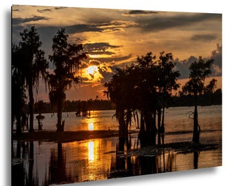 May include: A landscape photograph of a sunset over a lake. Silhouetted trees and Spanish moss are in the foreground, with the sun reflecting on the water. The sky is filled with orange, yellow, and gray clouds.