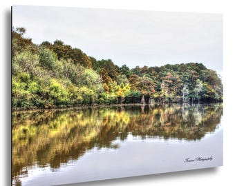 May include: A landscape photograph of a calm lake reflecting the trees on the shore. The trees display a mix of green, yellow, and brown foliage. The sky is overcast, and the water is still, creating a mirror-like effect. The photograph is signed "Ferand Photography".