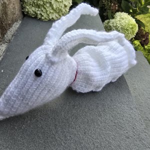 May include: A white crocheted ghost dog toy with a long pointed snout, two long floppy ears, and a small orange nose. The ghost dog features two round black bead eyes and a thin red collar around its neck, crafted with a textured yarn stitch.