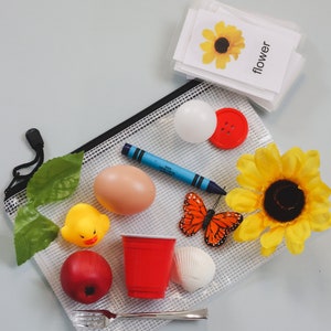May include: A clear mesh bag filled with various items, including a red plastic cup, a white egg, a yellow rubber duck, a red button, a white ball, a blue crayon, a red apple, a silver fork, a white seashell, a butterfly, and a yellow flower. The bag also includes a green leaf and a card with the word "flower" written on it.