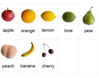 Digital Copy Fruits Object Picture Match Game Cards