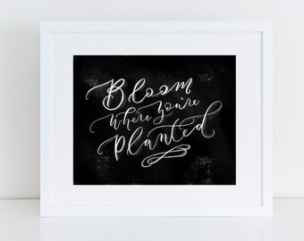 Bloom Where You're Planted Quote