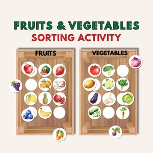 May include: A colorful educational graphic with the text "FRUITS & VEGETABLES SORTING ACTIVITY." The image shows two wooden crates, one labeled "FRUITS" and the other "VEGETABLES," each containing illustrated produce like apples, tomatoes, and bananas.