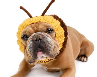 Bumble Bee Dog Snood | Knit Crochet Dog Hat | Easter Dog Costume | Ear Warmer