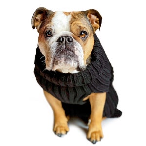 Black Zoo Sweater | Easter Dog Costume | Knit Crochet