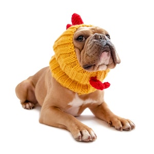 Rooster Chicken Dog Snood | Knit Crochet Dog Hat | Easter Dog Costume | Ear Warmer