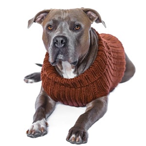 Brown Zoo Sweater | Easter Dog Costume | Knit Crochet