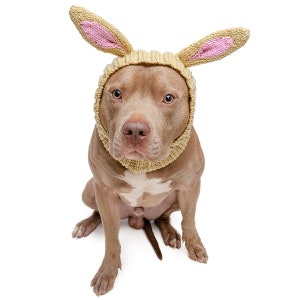 Jack Rabbit Dog Snood | Knit Crochet Dog Hat | Easter Dog Costume | Ear Warmer
