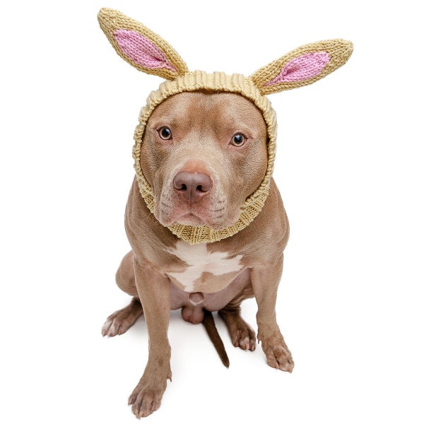 Tour de cou pour chien Jack Rabbit | Bonnet pour chien en tricot au crochet | Déguisement de chien de Pâques | Cache-oreilles