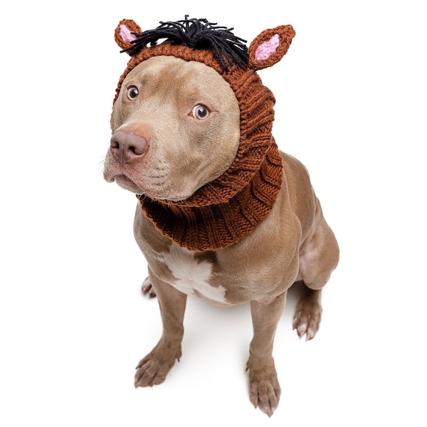 Horse Dog Snood | Knit Crochet Dog Hat | Easter Dog Costume | Ear Warmer