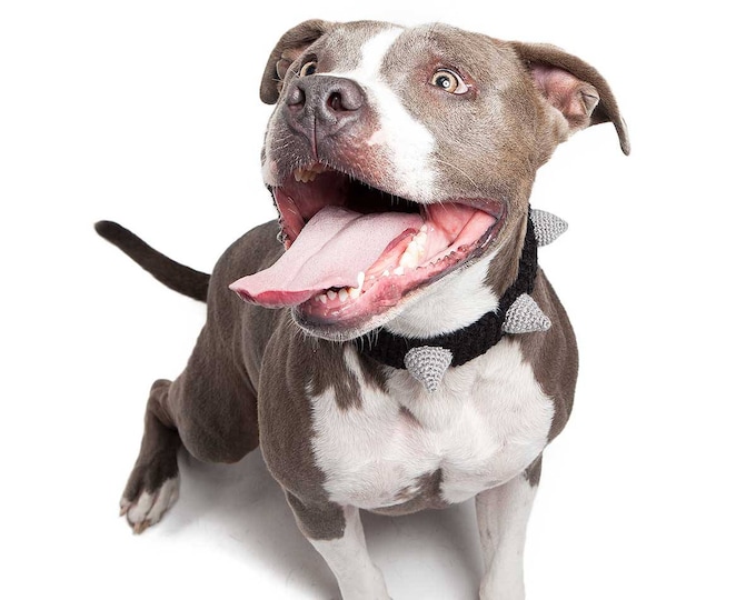 Crochet Spiked Dog Collar Etsy