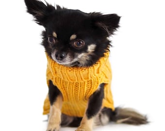 Yellow Zoo Sweater | Easter Dog Costume | Knit Crochet