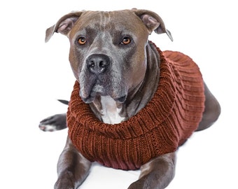Brown Zoo Sweater | Easter Dog Costume | Knit Crochet