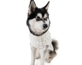 White Zoo Sweater | Easter Dog Costume | Knit Crochet