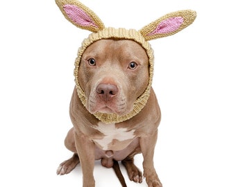 Jack Rabbit Dog Snood | Knit Crochet Dog Hat | Easter Dog Costume | Ear Warmer