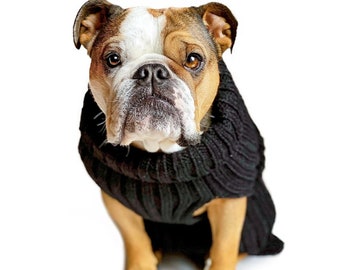 Black Zoo Sweater | Easter Dog Costume | Knit Crochet