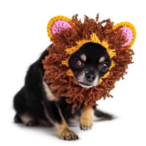 Lion Dog Snood | Knit Crochet Dog Hat | Easter Dog Costume | Ear Warmer