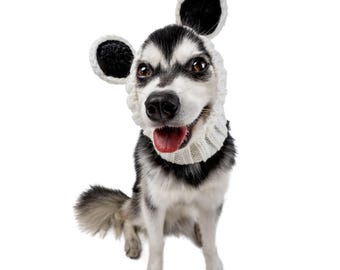 May include: A dog wearing a white knit hat with large, round black and white ears. The dog has black and white fur, brown eyes, and its tongue is sticking out. The dog is sitting and looking at the camera.
