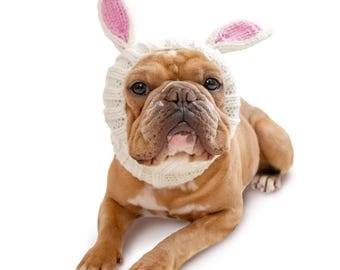 May include: A tan French Bulldog wearing a white knit bunny ear hat with pink inner ears. The dog is lying down on a white background, looking directly at the camera. The hat covers the dog's ears and head.
