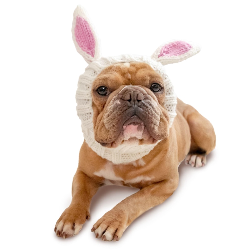 Labubu Costume for Dog - Etsy