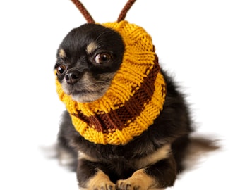May include: A small black and tan dog wearing a yellow and brown knit bee costume. The costume includes a headpiece with brown antennae and a striped collar. The dog is lying down on a white background.