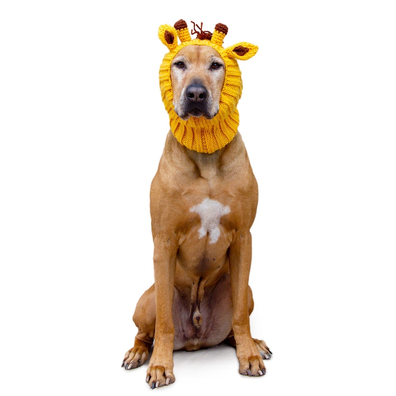 Giraffe Dog Snood Knit Crochet Dog Hat Easter Dog Costume Ear Warmer image 3