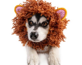 May include: A dog wearing a brown lion's mane costume with yellow and pink accents. The dog has black and white fur and is looking directly at the camera. The costume is made of a shaggy, textured material.