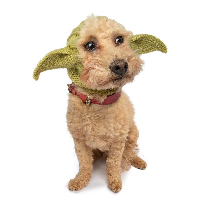 Alien Dog Costume - Etsy