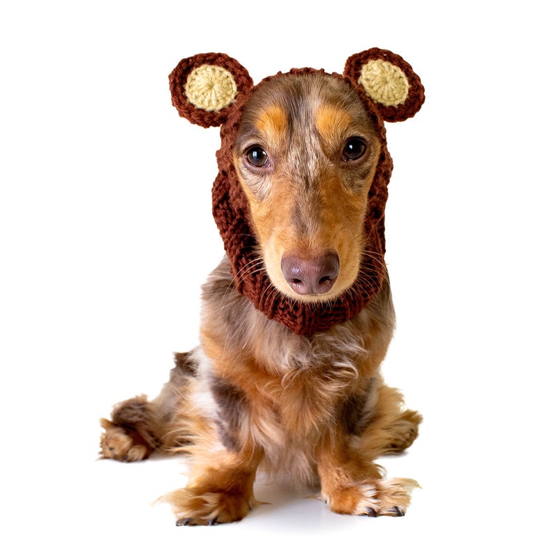 Grizzly Bear Dog Snood Knit Crochet Dog Hat Easter Dog Costume Ear Warmer image 3