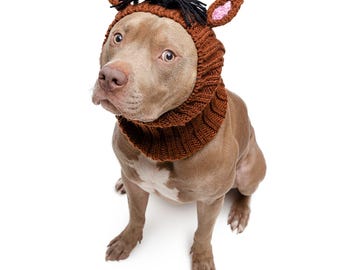May include: A brown dog wearing a knitted lion hat with black yarn mane and pink-lined ears. The dog is sitting and looking up, with a white background. The hat covers the dog's head and neck.