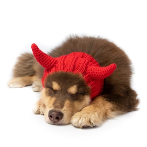 May include: A sleeping puppy wearing a bright red knit devil horn hat. The puppy has brown and tan fur and is lying down on a white background. The hat has two curved horns and a ribbed texture.