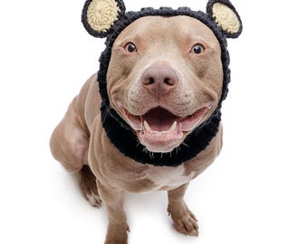 Gorro de punto de ganchillo para perro, disfraz de Halloween para perro, calentador de orejas, oso negro