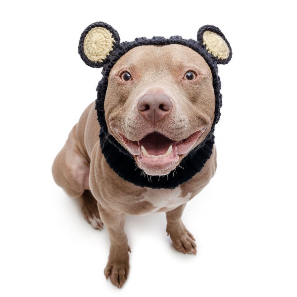 Black Bear Dog Snood | Knit Crochet Dog Hat | Easter Dog Costume | Ear Warmer