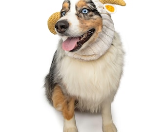 May include: A tri-color dog with blue eyes wearing a knitted ram hat with yellow horns and a matching neck warmer. The dog is smiling with its tongue out, creating a playful and whimsical image. The hat and neck warmer are cream-colored.