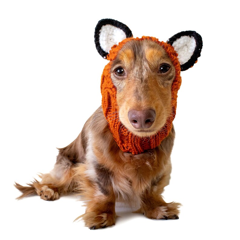 Fox Dog Snood Knit Crochet Dog Hat Easter Dog Costume Ear Warmer image 3