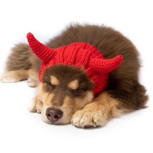 Devil | Knit Crochet Dog Hat | Easter Dog Costume | Ear Warmer