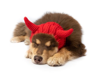 Devil | Knit Crochet Dog Hat | Easter Dog Costume | Ear Warmer