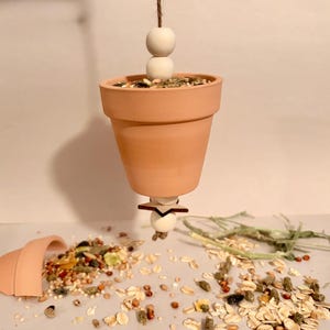 May include: A terracotta-colored, upside-down flower pot feeder for small pets, suspended by a brown twine. The pot is filled with seeds and grains, with some spilled on the surface. A broken pot and scattered food are also visible.