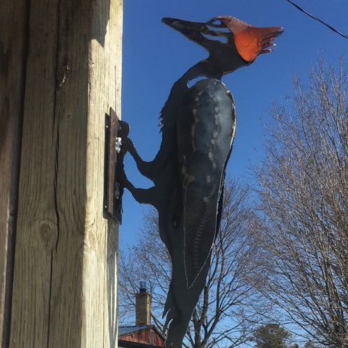 Pileated Woodpecker Outdoor Metal Sculpture Etsy