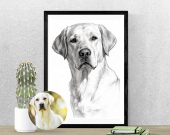Może przedstawiać: Szkic ołówkiem psa Labrador Retriever w czarnej ramie. Grafika to szczegółowy portret głowy i ramion psa. Mniejsze, kolorowe zdjęcie psa znajduje się na pierwszym planie. Kaktus w białej doniczce znajduje się po lewej stronie.
