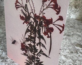 Hummingbird Greeting Card | Fine Art Photography | Blank 5x7 Note Card | Limited Paper Edition