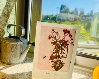 Hummingbird Love Greeting Card | Fine Art Photography | Blank Inside | Limited Paper Edition