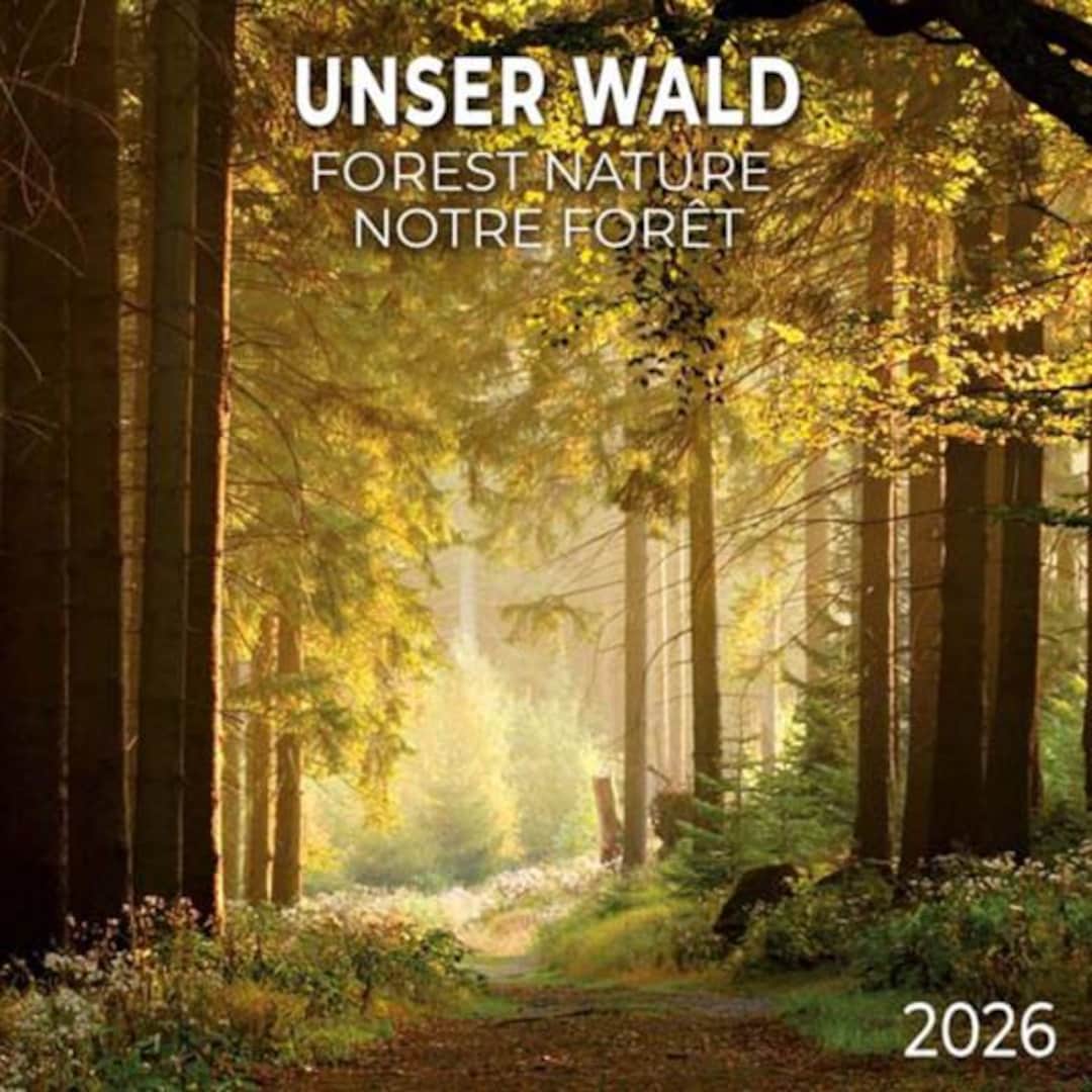 Forest Nature 2026 Wall Calendar Poster Included Tushita Paperart Etsy Il Qp4b 