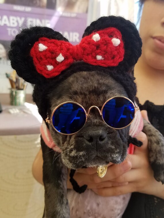 Devil Horns Dog Hat Crochet Dog Beanie 